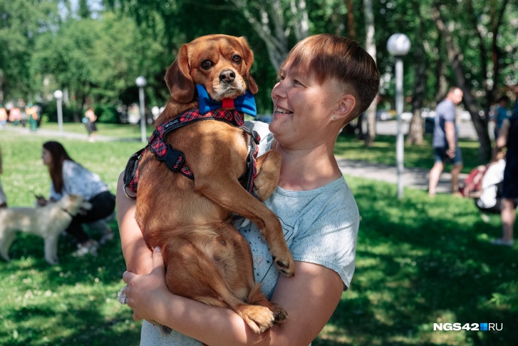 Владельцам животных нужно будет соблюдать несколько требований при выгуле Владельцам животных нужно будет соблюдать несколько требований при выгуле