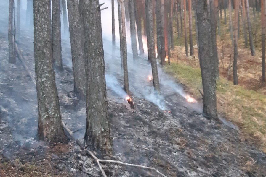 Два туриста и беременная женщина сняли на видео, как тушили лес возле Шайтан-камня в Свердловской области