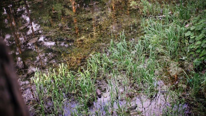 Авиакатастрофа в Югре: в районе Советского в болото упал гидросамолет