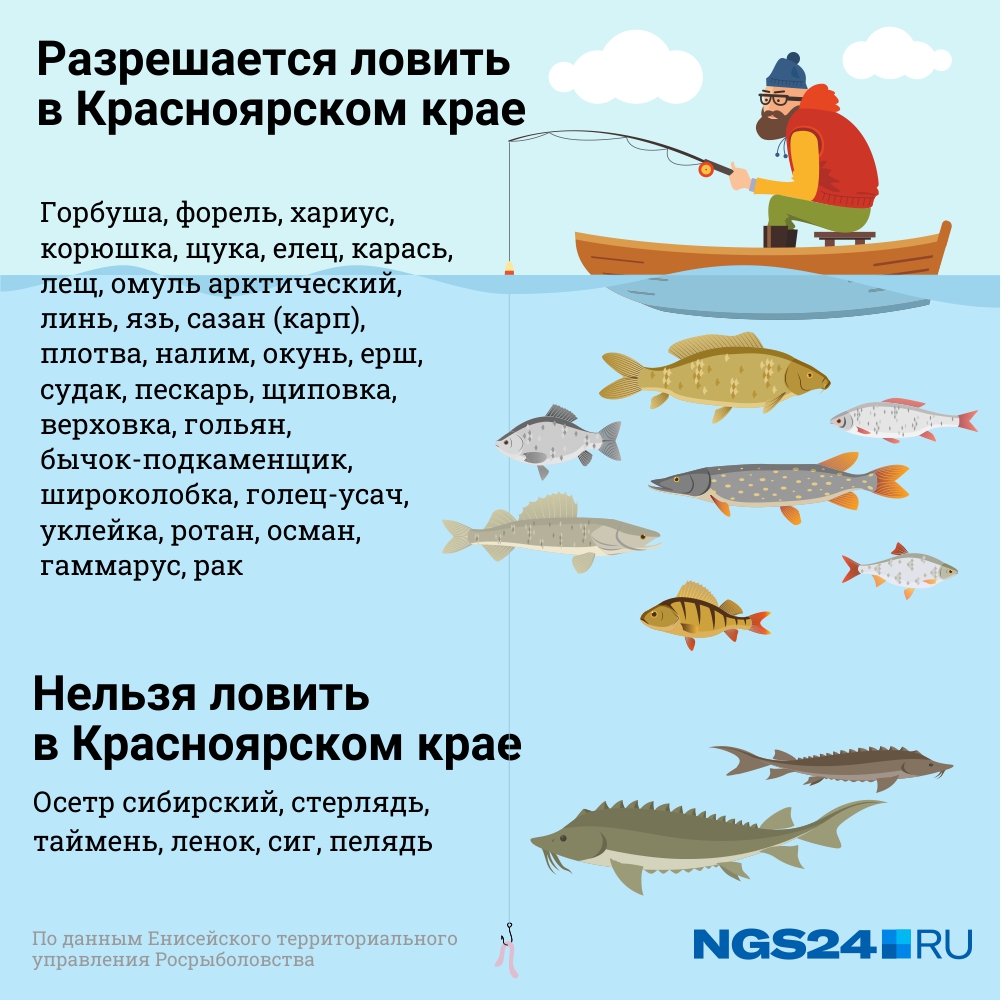 весенний запрет рыбалки на енисее