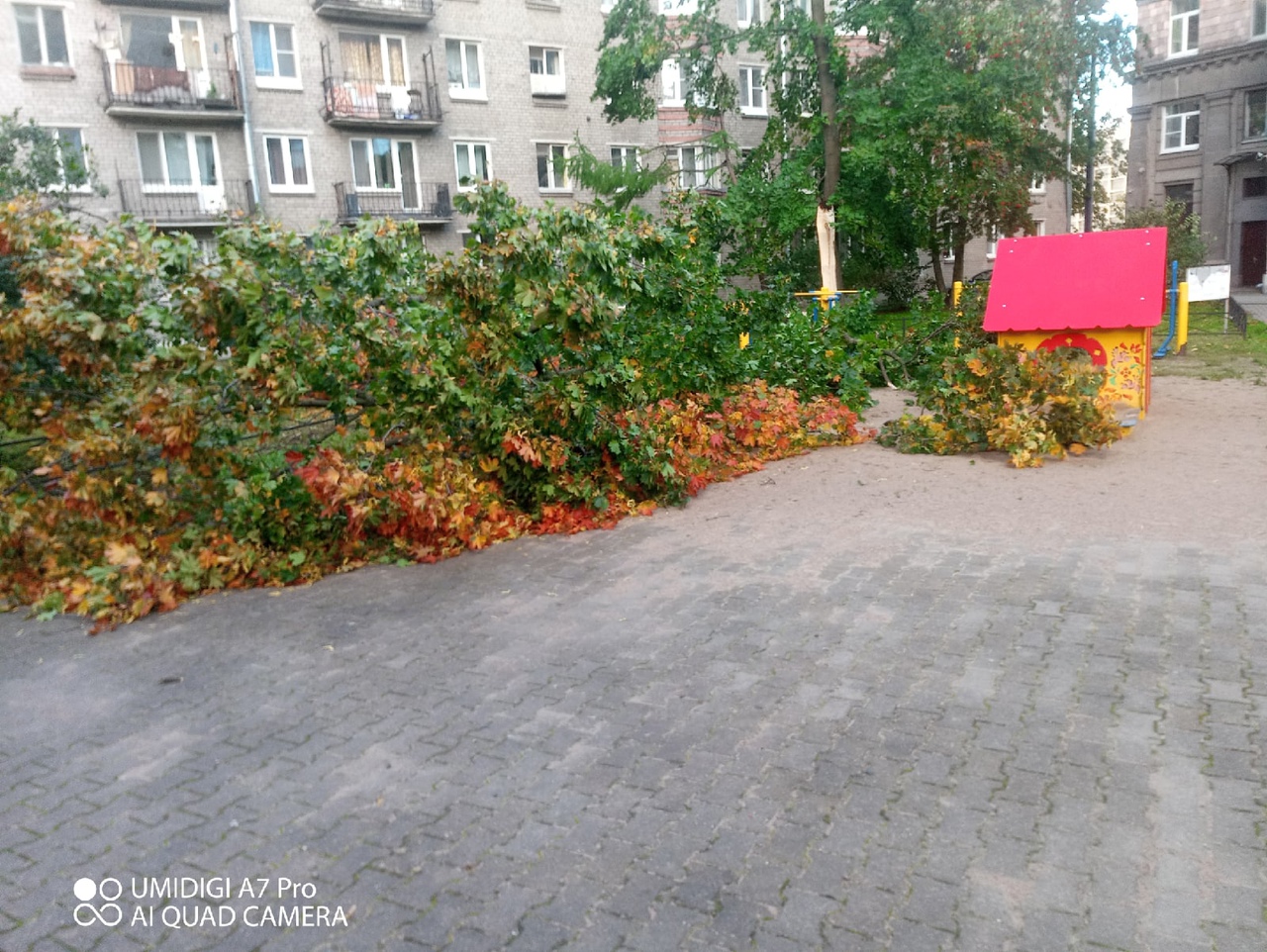 Упавшее на площадку дерево в Автово