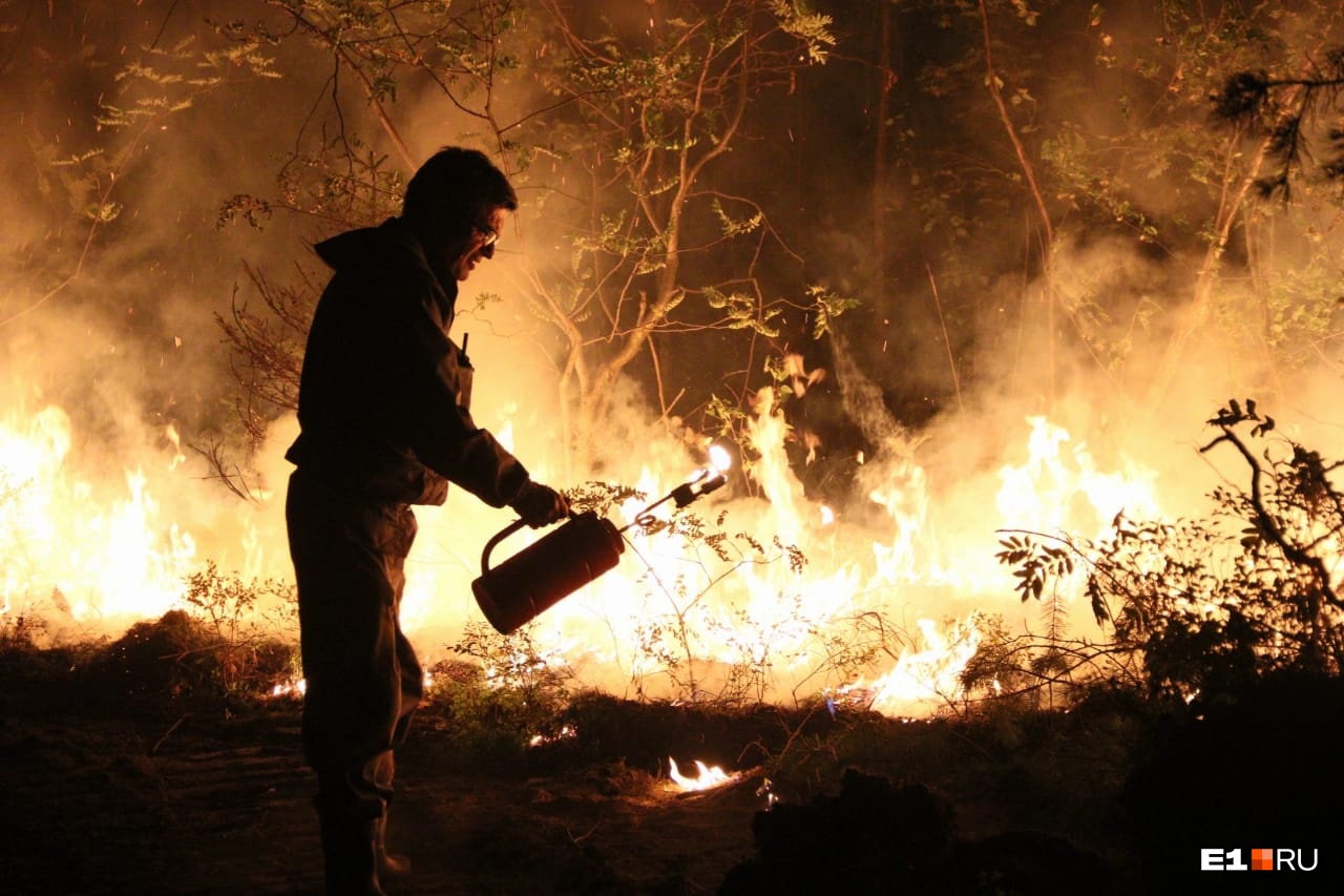 Под Екатеринбургом поджигают лес, чтобы спасти сады от пожара: фоторепортаж
