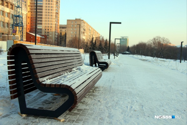В целом аллея уже приобретает какой-то целостный вид В целом аллея уже приобретает какой-то целостный вид