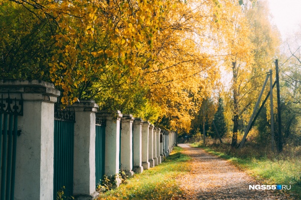 Kakaya Pogoda Budet V Omskoj Oblasti V Sentyabre 2021 Goda Ngs55 Novosti Omska