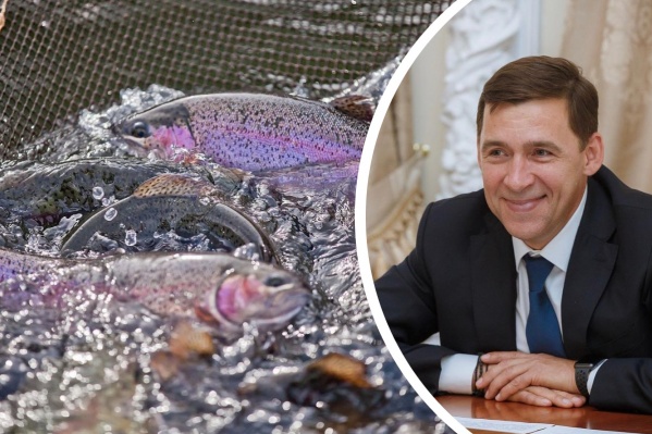 Евгений Куйвашев поручил местным властям подключиться к этой истории Евгений Куйвашев поручил местным властям подключиться к этой истории