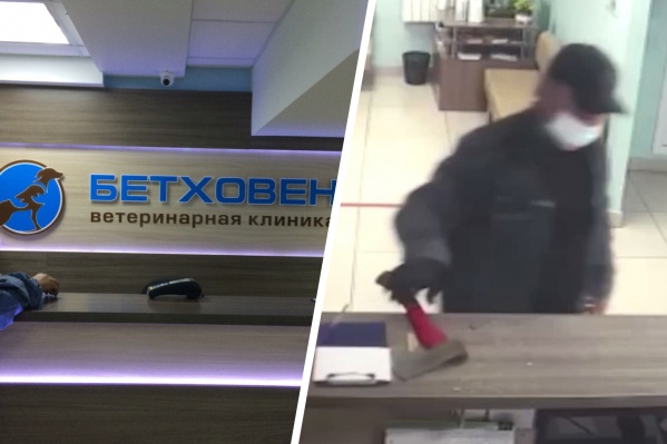 Слева — стойка администратора до конфликта. Справа — хозяин собаки Слева — стойка администратора до конфликта. Справа — хозяин собаки