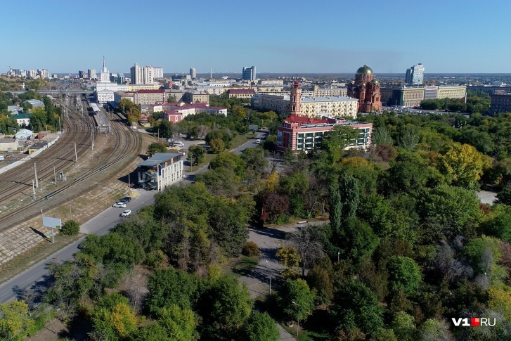 Деревья в Горсаду вырубать пока не будут. Столбы, пробитые пулями, тоже пока стоят на месте Деревья в Горсаду вырубать пока не будут. Столбы, пробитые пулями, тоже пока стоят на месте