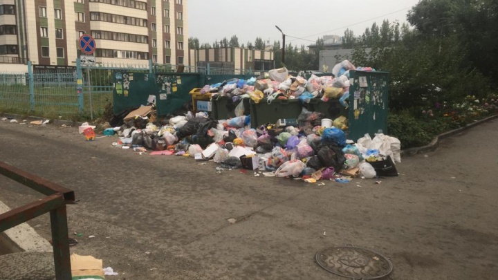 Центральный район завалило мусором — фото переполненных контейнеров