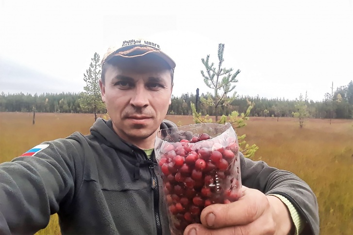 Летом и осенью Максим не вылезает из чердынских <nobr class="_">лесов —</nobr> он вместе с местными жителями собирает ягоды и грибы Летом и осенью Максим не вылезает из чердынских <nobr class="_">лесов —</nobr> он вместе с местными жителями собирает ягоды и грибы