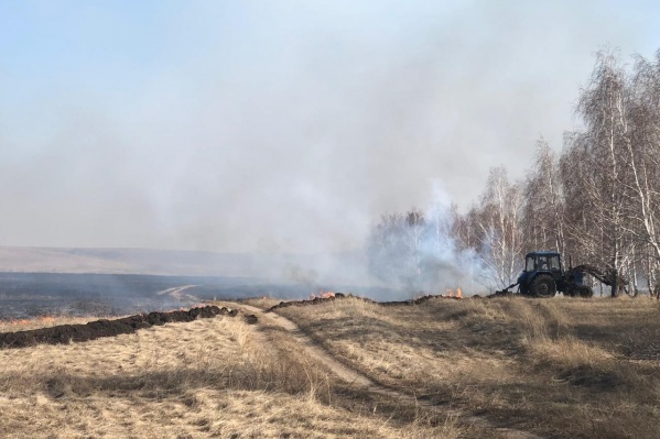 В Курганской области произошли уже несколько крупных лесных пожаров В Курганской области произошли уже несколько крупных лесных пожаров