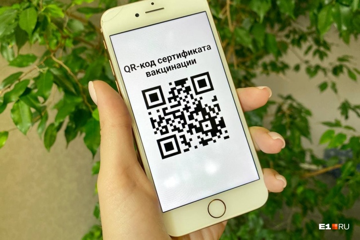 QR-коды заработают в театрах, кинотеатрах и спортивных объектах QR-коды заработают в театрах, кинотеатрах и спортивных объектах