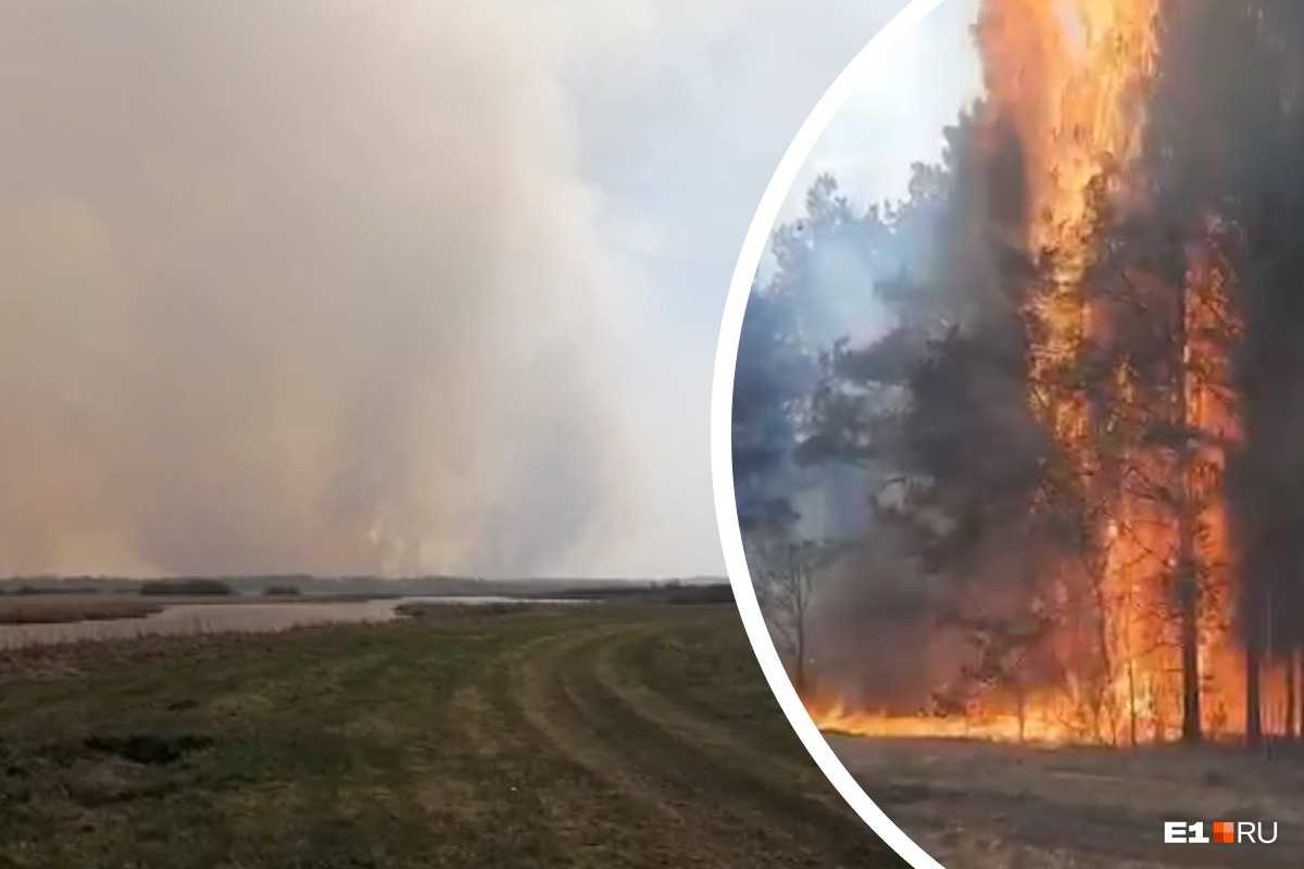 «Весь город и деревни рядом затянуло дымом»: под Камышловом горят леса. Видео