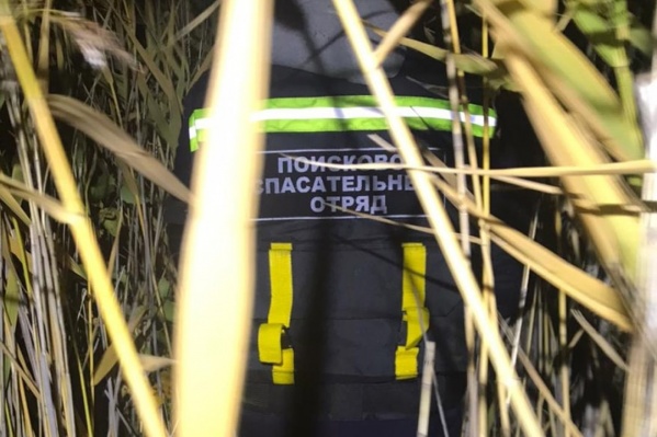 Бабушка отправилась собирать ягоды одна, а чтобы вернуться, ей понадобилась помощь спасателей Бабушка отправилась собирать ягоды одна, а чтобы вернуться, ей понадобилась помощь спасателей