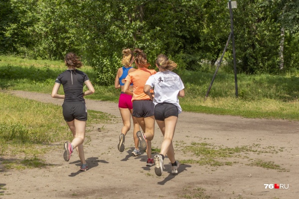 В отчетах чиновников Ярославль — спортивный город. На деле тоже В отчетах чиновников Ярославль — спортивный город. На деле тоже