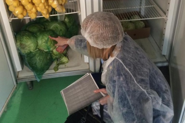 Специалисты проверили условия хранения продуктов в школьных столовых Специалисты проверили условия хранения продуктов в школьных столовых