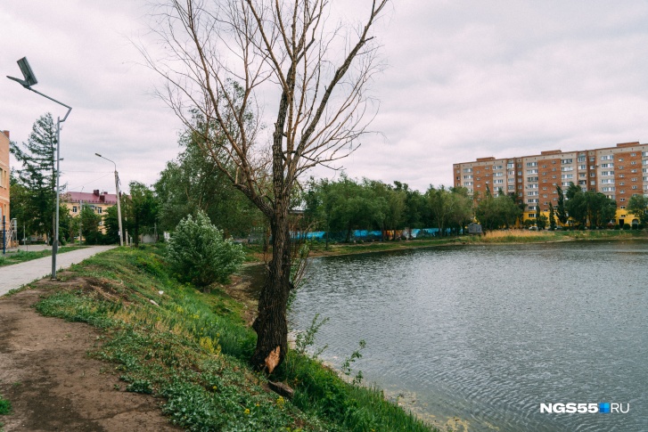 Территорию озера Кирпичка благоустраивали в 2019 году Территорию озера Кирпичка благоустраивали в 2019 году