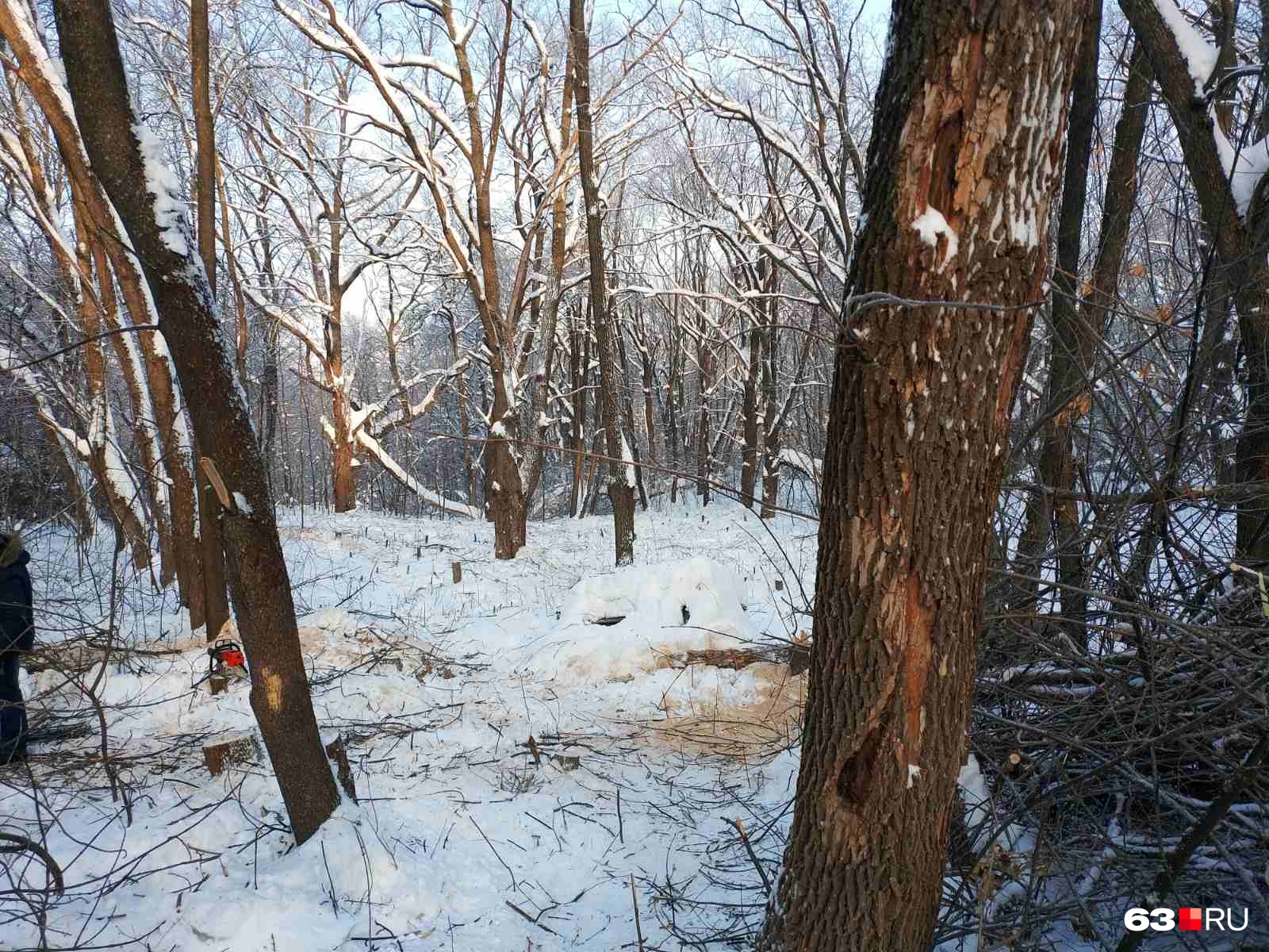 Участки выделили под садоводство Участки выделили под садоводство