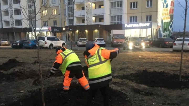В Челябинске спилят больше 200 деревьев ради сквера и парковки около Кафедрального собора