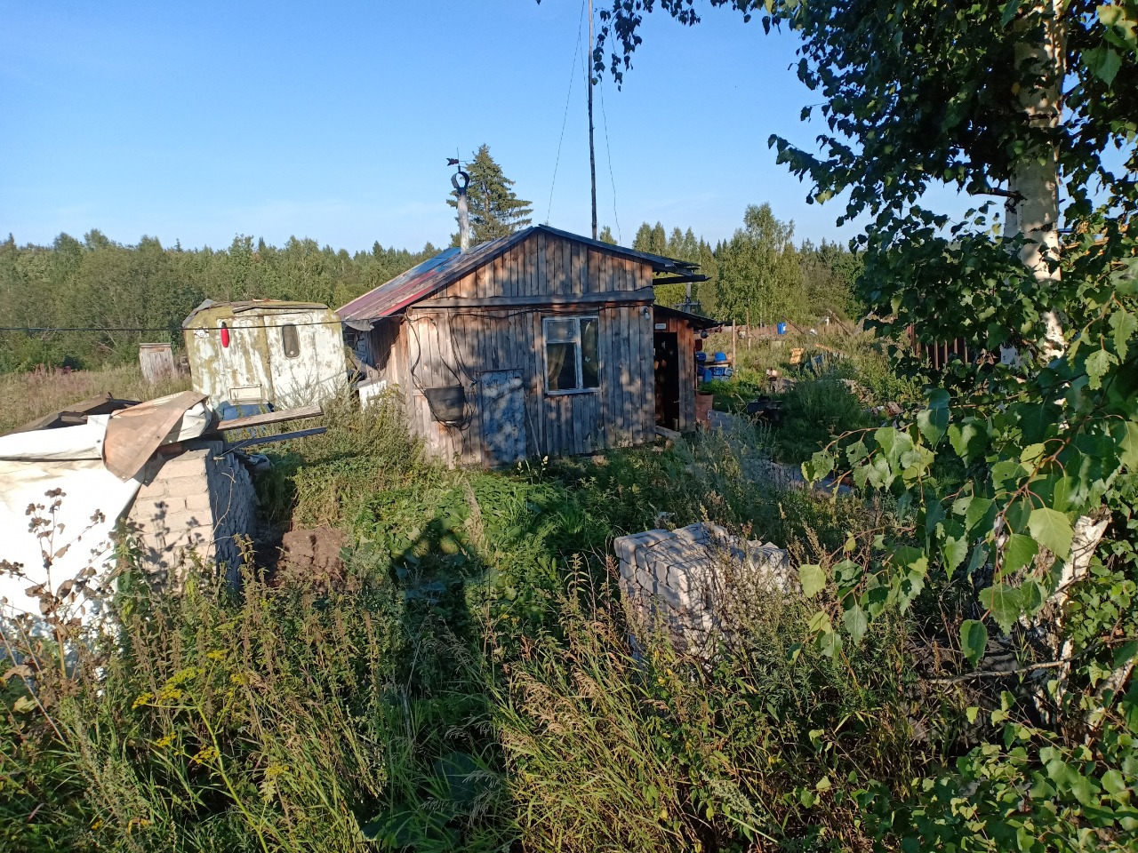 В поселке под Нижним Тагилом директор предприятия убил и сжег своего подчиненного