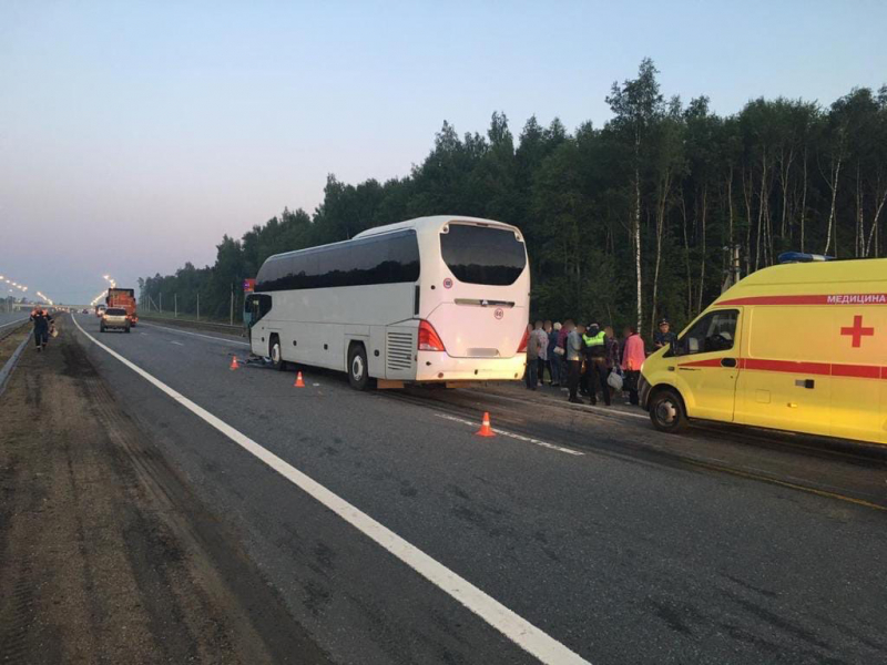 Туристический автобус впечатался в грузовик под Владимиром, пострадали 22 человека