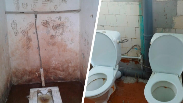 «Сказали, что денег не выделят»: школа из Ярославской области пытается выиграть ремонт туалета