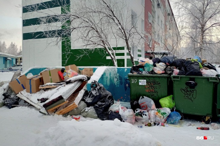 Пока дачники говорили, что зимой в ДНТ мусора практически нет, горожане жаловались на переполненные баки