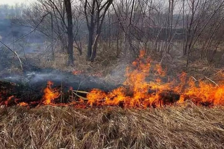 Это первые палы этого года в ХМАО Это первые палы этого года в ХМАО