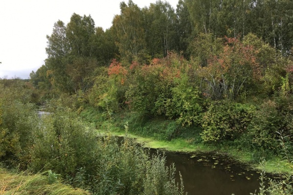 Мужчина лежал около водоемах в лесу Мужчина лежал около водоемах в лесу