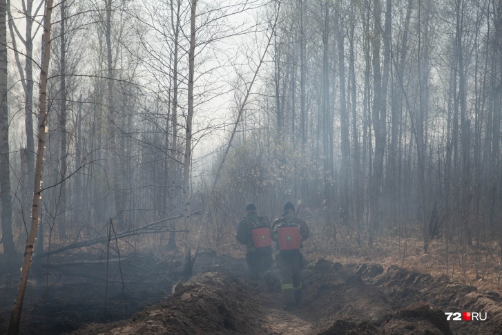 Замгенпрокурора не только вступился за тех, кто тушит пожары, но и за простых людей, потерявших свои дома