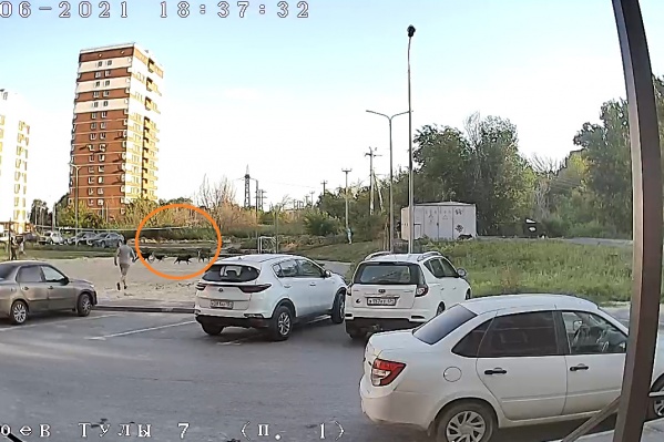 По словам жителей поселка ГЭС, один из детей всё же был укушен собаками По словам жителей поселка ГЭС, один из детей всё же был укушен собаками