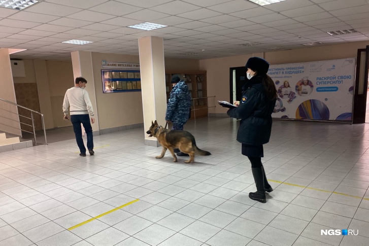 Кинологи в гимназии <nobr class="_">№ 4</nobr> Кинологи в гимназии <nobr class="_">№ 4</nobr>