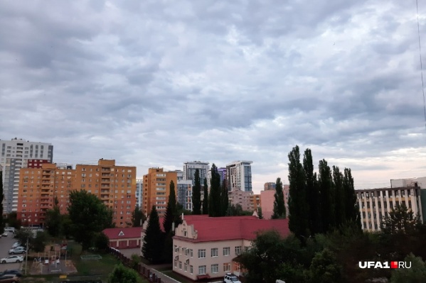 Порывы ветра будут достигать <nobr class="_">20 м/с</nobr> Порывы ветра будут достигать <nobr class="_">20 м/с</nobr>
