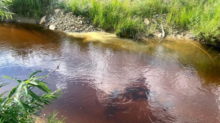 Золотодобытчики загрязнили три реки в Кузбассе. Рассказываем, как их наказали за это
