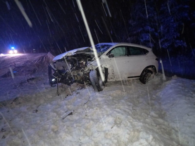 В автомобиле Hyundai были женщина и ее дочь В автомобиле Hyundai были женщина и ее дочь