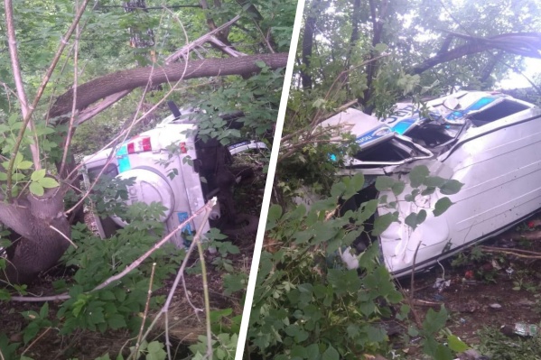 Водитель автомобиля был трезв Водитель автомобиля был трезв