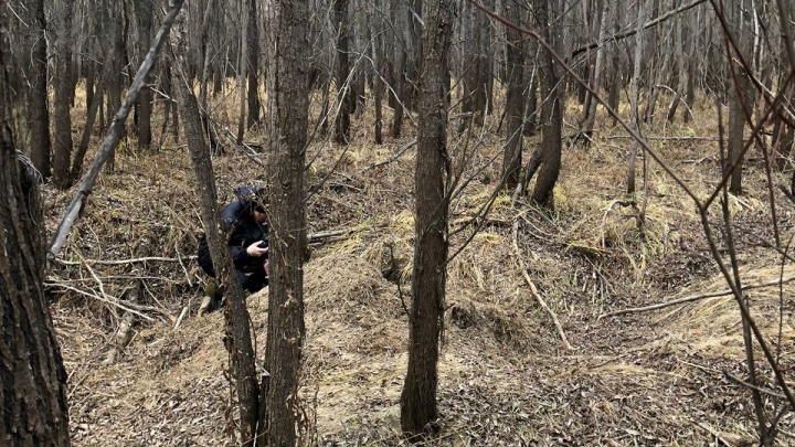 Мужчину, которого задрал медведь в уватском лесу, похоронили