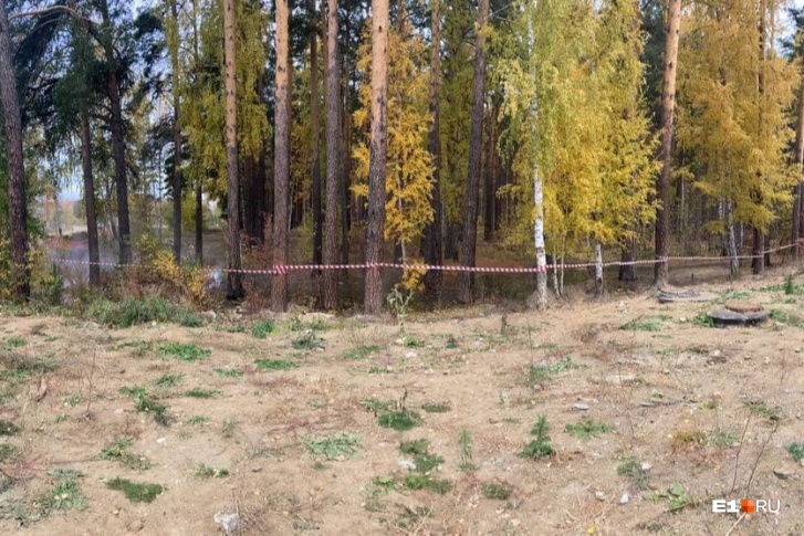 На фото издалека может показаться, что это совершенно нормальное озеро На фото издалека может показаться, что это совершенно нормальное озеро