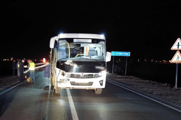Водитель автобуса был трезвый Водитель автобуса был трезвый