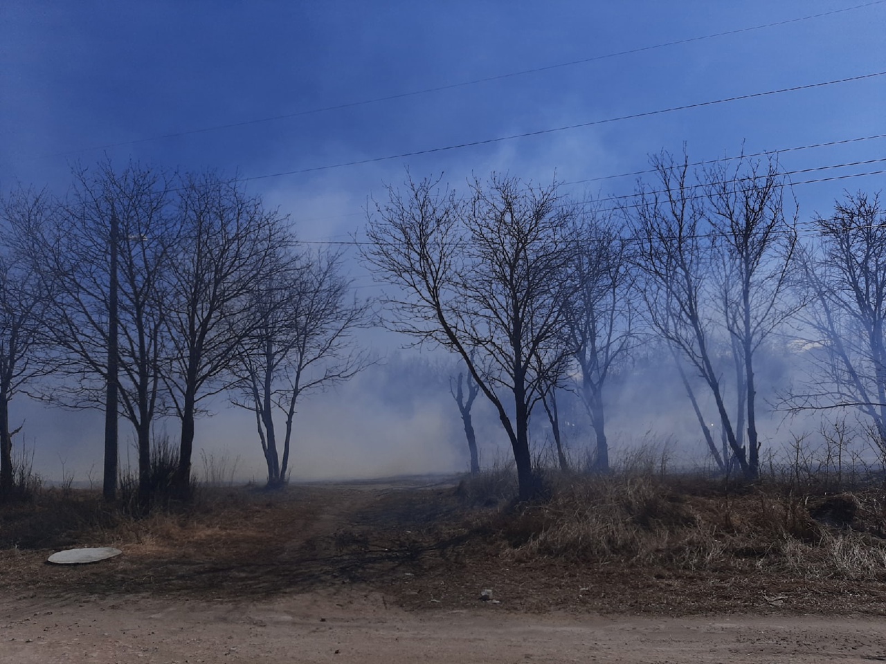 Весь регион в пожарах: поля сухой травы горят в Нижегородской области