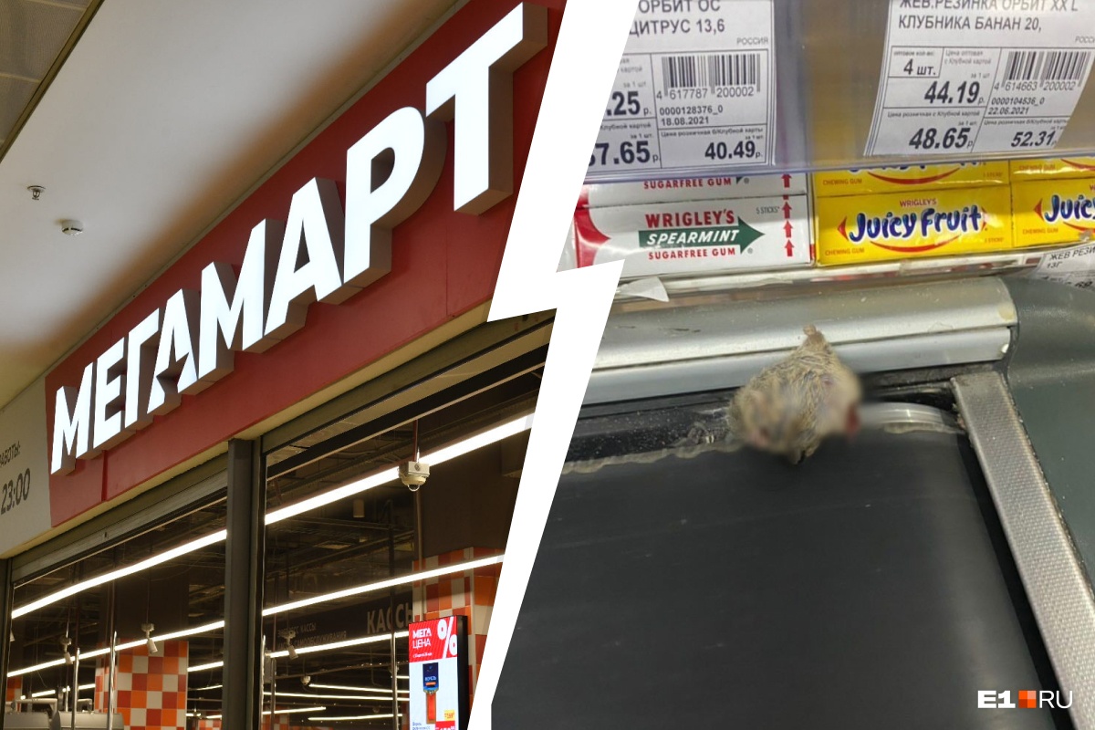 В супермаркете в Екатеринбурге нашли мертвую мышь, застрявшую в кассовой ленте