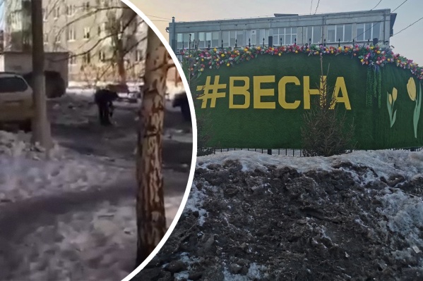 Ходить по некоторым дворам просто невозможно Ходить по некоторым дворам просто невозможно
