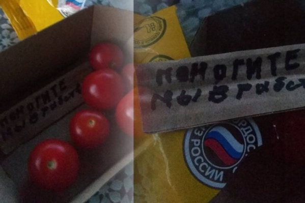 жительница новосибирска нашла послание о рабстве в упаковке помидоров. Смотреть фото жительница новосибирска нашла послание о рабстве в упаковке помидоров. Смотреть картинку жительница новосибирска нашла послание о рабстве в упаковке помидоров. Картинка про жительница новосибирска нашла послание о рабстве в упаковке помидоров. Фото жительница новосибирска нашла послание о рабстве в упаковке помидоров