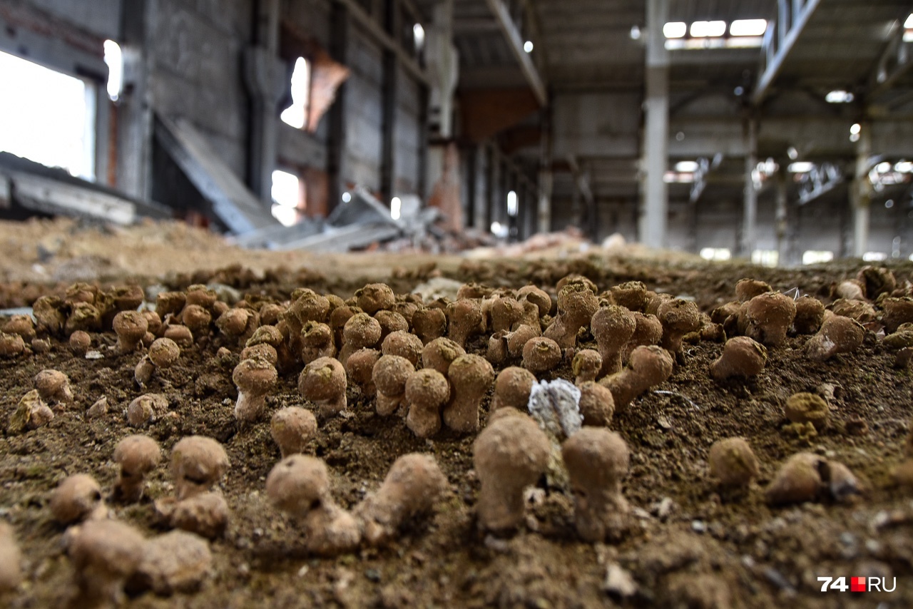 «Дымовухи» в помещении недостроенной Южно-Уральской АЭС, которая находится рядом с заповедником