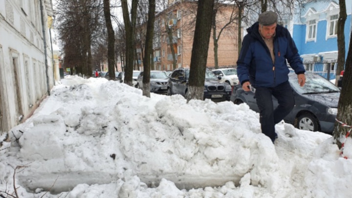 Мимозы, морозы и непролазные улицы: каким был Ярославль на прошлой неделе