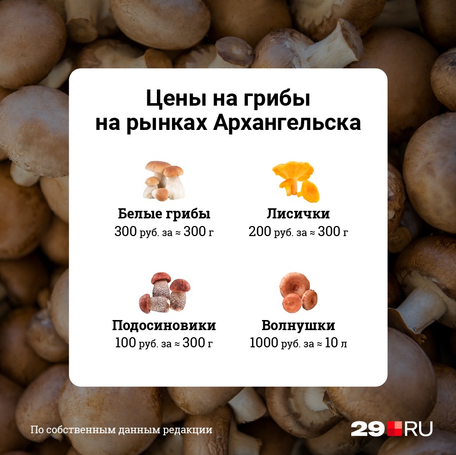 Цены на свежие грибы в Архангельске мы узнали на рынке у «Диеты»