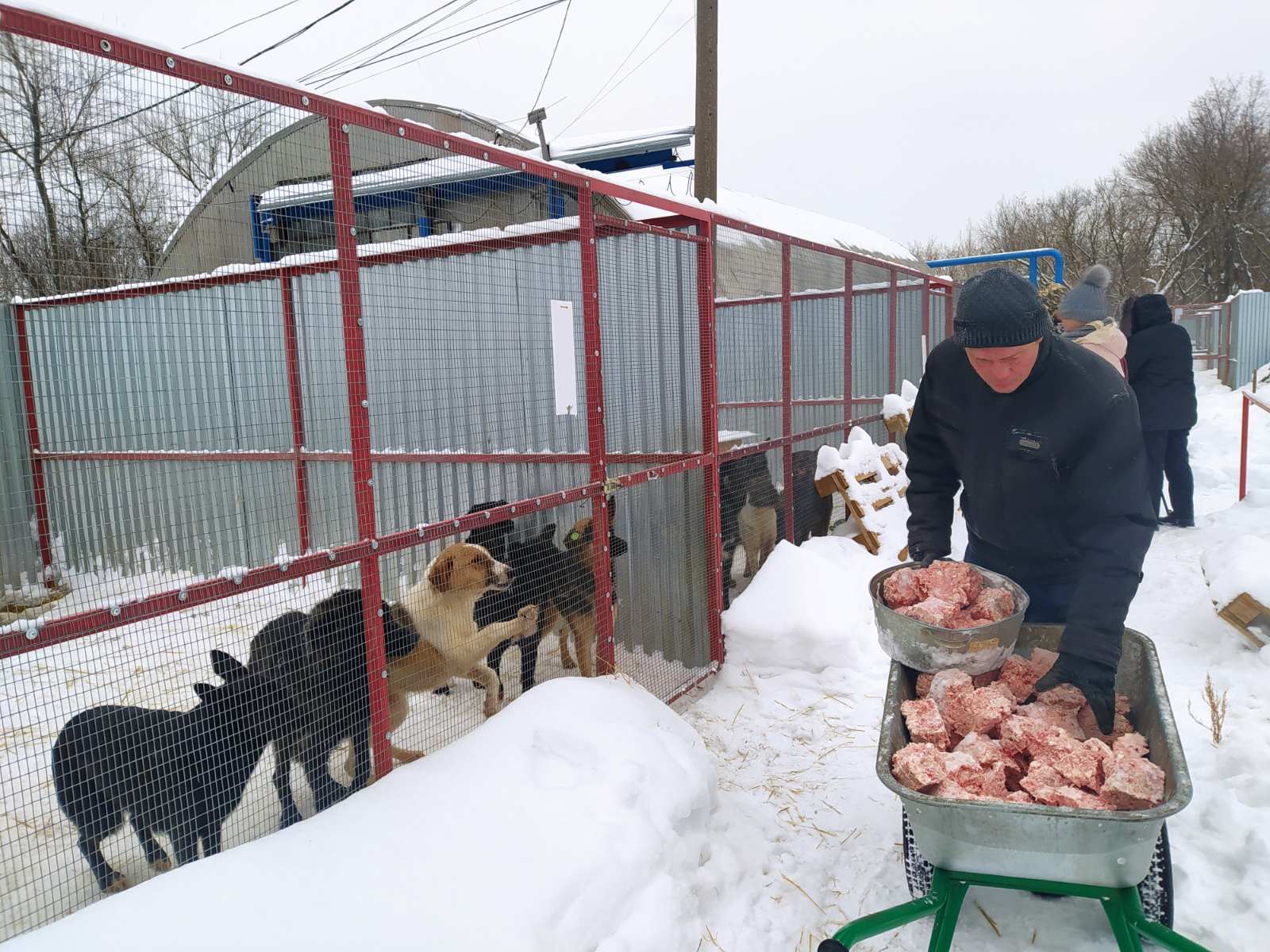 Кормление в приюте Кормление в приюте