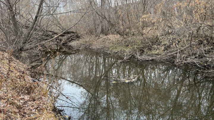 Минэкологии Челябинской области нашло превышение аммиака в реке после жалоб людей на свинокомплекс