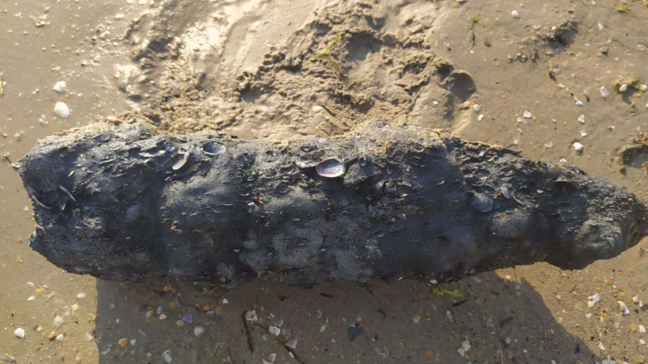 На пляж Анапы вынесло боевой снаряд в ракушках