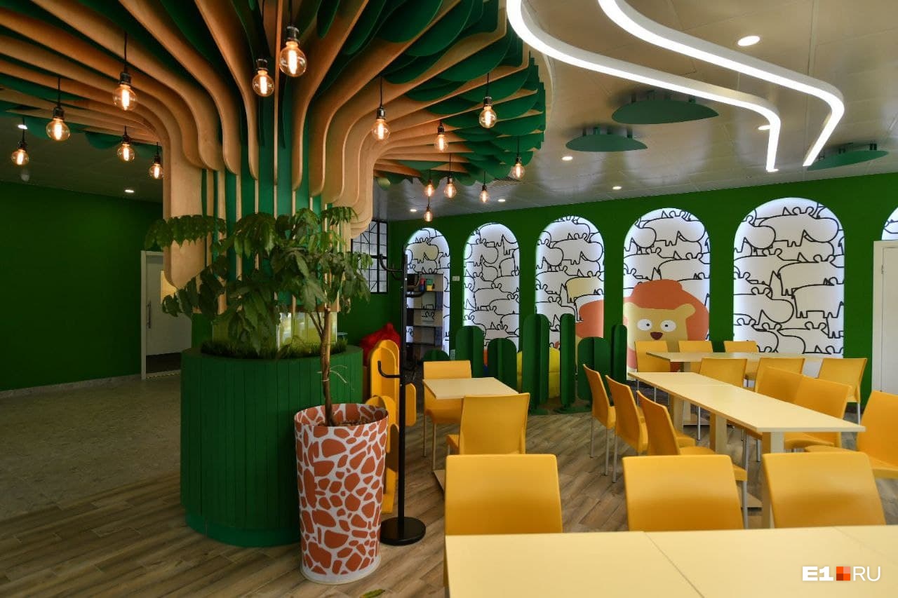 В Екатеринбурге откроется кафе, где гостей будет встречать живая черепаха