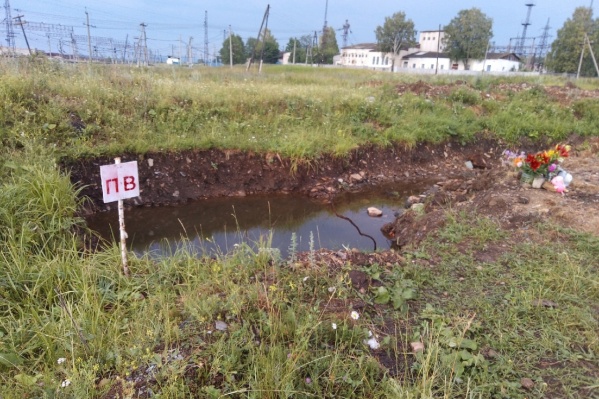 В компании соседского мальчика